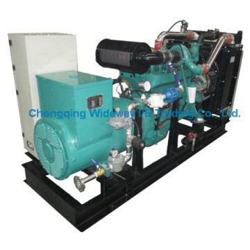 Lyk19g250kw Hochwertiger Eapp Gas Generator Set